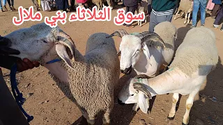 سوق الثلاثاء بني ملال العياد خايف يشري الكساب مقلق مع أسعار الخروف أو الحولي عيد الأضحى 20/06/2023