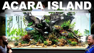 Electric Blue & Royal Acara Tank EPIC 4ft Aquascape Tutorial