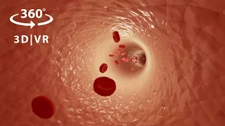 VR 360 Animation - Inside the Human Body