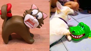 Cat Reaction to Playing Toy - Funny Cat Toy Reaction Compilation