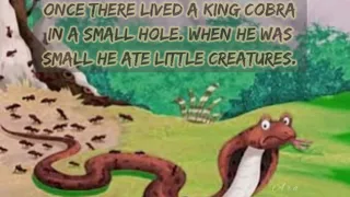 The King Cobra and The Ants