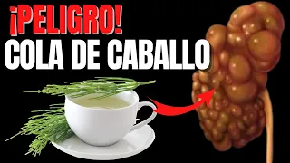 🔴BENEFICIOS DE LA COLA DE CABALLO🌾 - HORSETAIL HEALTH BENEFITS