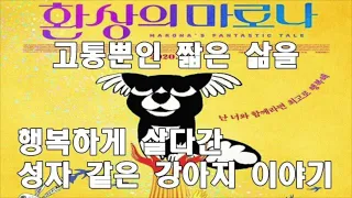 [아말감 156] 환상의 마로나 리뷰