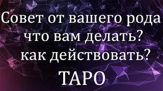 СОВЕТ ДЛЯ ВАС ОТ РОДА Что вам делать совет предков таро расклад онлайн