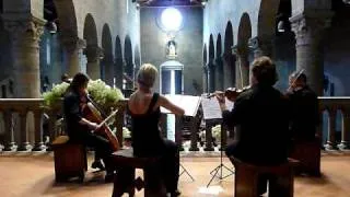 Canone di Pachelbel e Gabriel's oboe - Quartetto d'archi.