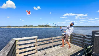 Found A New Saltwater Pier And It Was LOADED!