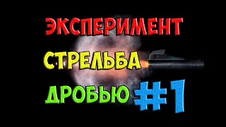 Экспериментальная стрельба дробью номер 1 с длинной и короткой дистанций