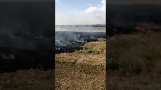 Берегите лес от пожара.