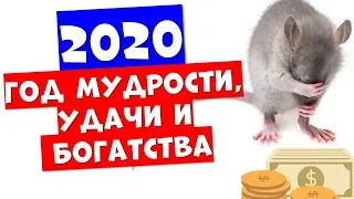 Чего ожидать от года крысы в 2020 года, что делать для удачи