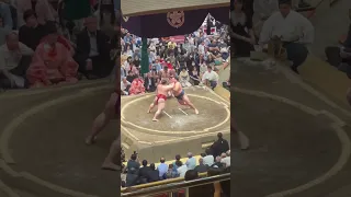 2023 Grand Sumo Tournament - Tokyo Japan 🇯🇵