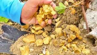 Gold Rush! Found Million $$ of huge nuggets of gold under stone at mountain, mining exciting.