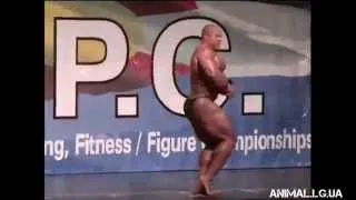 Бодибилдинг Фил Хит Мистер Олимпия (Phil Heath)