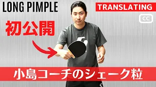 STRONGEST! Shakehand Long Pimple in Japan [Table Tennis]