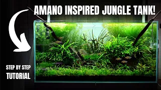 Epic 250l Congo Tetra Jungle Tank Aquascape Tutorial!