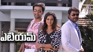 Robbin Hood Telugu Dubbed Full Movie | Telugu Action Full Movie | Prithiraj | Bhavana | Naren