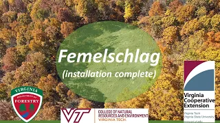 Fifteen Minutes in the Forest: Femelschlag Update & Hardwood Forest Habitat Initiative