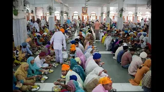 5000 Plates Finishes an Hour | BIggest Langar in the World | Golden Temple Amritsar