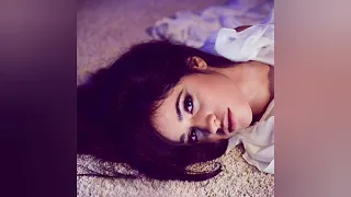 The Chainsmokers, Camila Cabello - Closer (Demo)