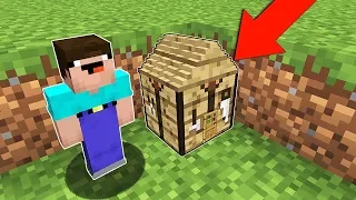 Minecraft NOOB vs PRO : ONE BLOCK HOUSE INSIDE CRAFTING TABLE! Challenge 100% trolling