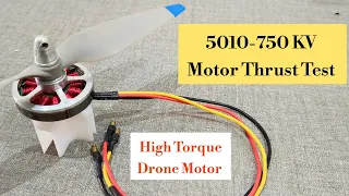 5010-750 kv BLDC Motor Thrust Test|Drone Motor|High Torque Drone Motor|Agriculture Drone Motor|Drone