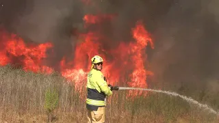 [10th Alarm] Rapid moving Grass Fire - Ingleburn, NSW (RAW FOOTAGE)