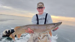 Three 40+ Inch Pike in 24 Hours! | Chasing Big Pike in Southern Alberta