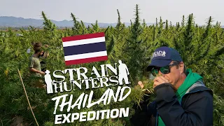 Strain Hunters: Thailand Expedition FULL DOCUMENTARY