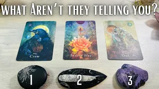 What Aren't They TELLING You?!? SECRETS!!  Pick A Card Tarot Reading * TIMELESS