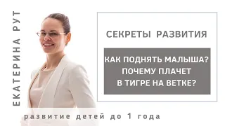 👉КАК ПОДНЯТЬ МАЛЫША? ПОЧЕМУ В ТИГРЕ НА ВЕТКЕ ВЫГИБАЕТСЯ И ПЛАЧЕТ?