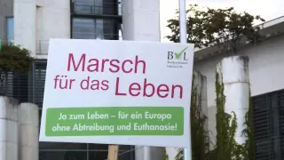 Grüne Heuchelei: Ökologie ohne Lebensschutz ist falsch!