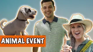 Animal event 2018!! | DierenpraatTV