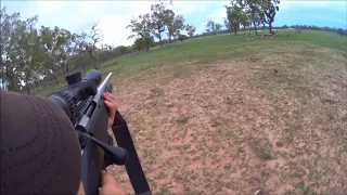 Pig Hunting QLD With Tikka CTR 308 (Raw Footage)