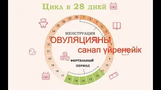 Жүктілікті жоспарлау/ ОВУЛЯЦИЯНЫ есептеп Үйренейік