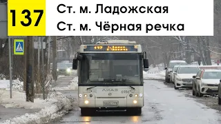 Автобус 137 "Ст. м. "Чёрная речка" - ст. м. "Ладожская"