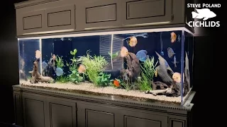 Two 500 Gallon Tanks in One Living Room!