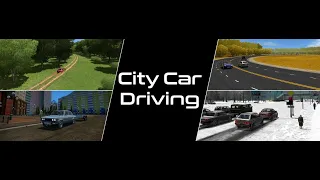 City Car Driving на руле FlashFire Suzuka ES900R