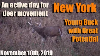 New York Deer Hunting 2019 - Young Buck with Incredible Genetics gets a pass