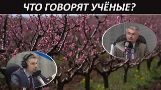 Крым ещё не знал такой тёплой весны. Каким будет урожай фруктов? // Что говорят учёные?