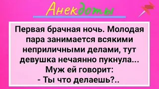 Пукнула В Первую Брачную Ночь! Подборка Смешных Жизненных Анекдотов для Настроения! Юмор и Смех!