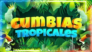 🔆CUMBIAS TROPICALES MIX 🦜VIEJITAS TROPICALES🎺ACAPULCO TROPICAL, TROPICAL FLORIDA, LOS KARKIS...