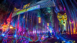 Electric Forest 2019 Aftermovie