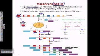 Chromosome walking