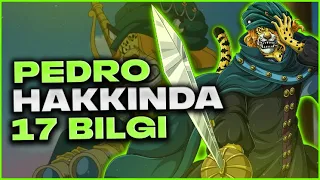 ÖLMEDIMI? PEDRO HAKKINDA 17 BILGI