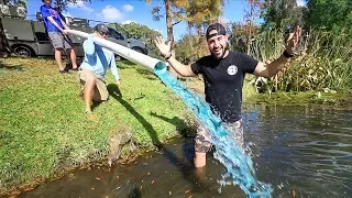 Delivering 100,000+ SHINERS To My POND!! (goal completed)