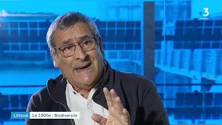 Littoral: la biodiversité marine avec Gilles Boeuf