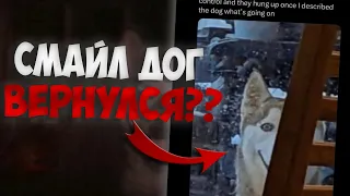 СМАЙЛ ДОГ ВЕРНУЛСЯ? Улыбающаяся собака..