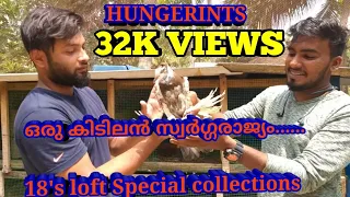 Pigeon Farm Visit @ Alappuzha || Our Dream Factory