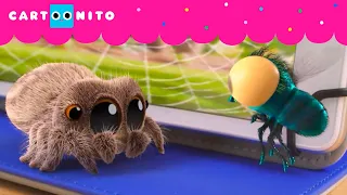 ATRAPANDO A LA MOSCA  | LA ARAÑA LUCAS | CARTOONITO