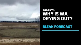 Why WA's south-west is drying out at one of the worst rates in the world | ABC News