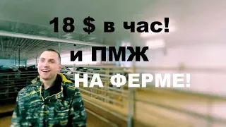 Как Украинцы покоряют Канаду! "наши" на фермах в Канаде!